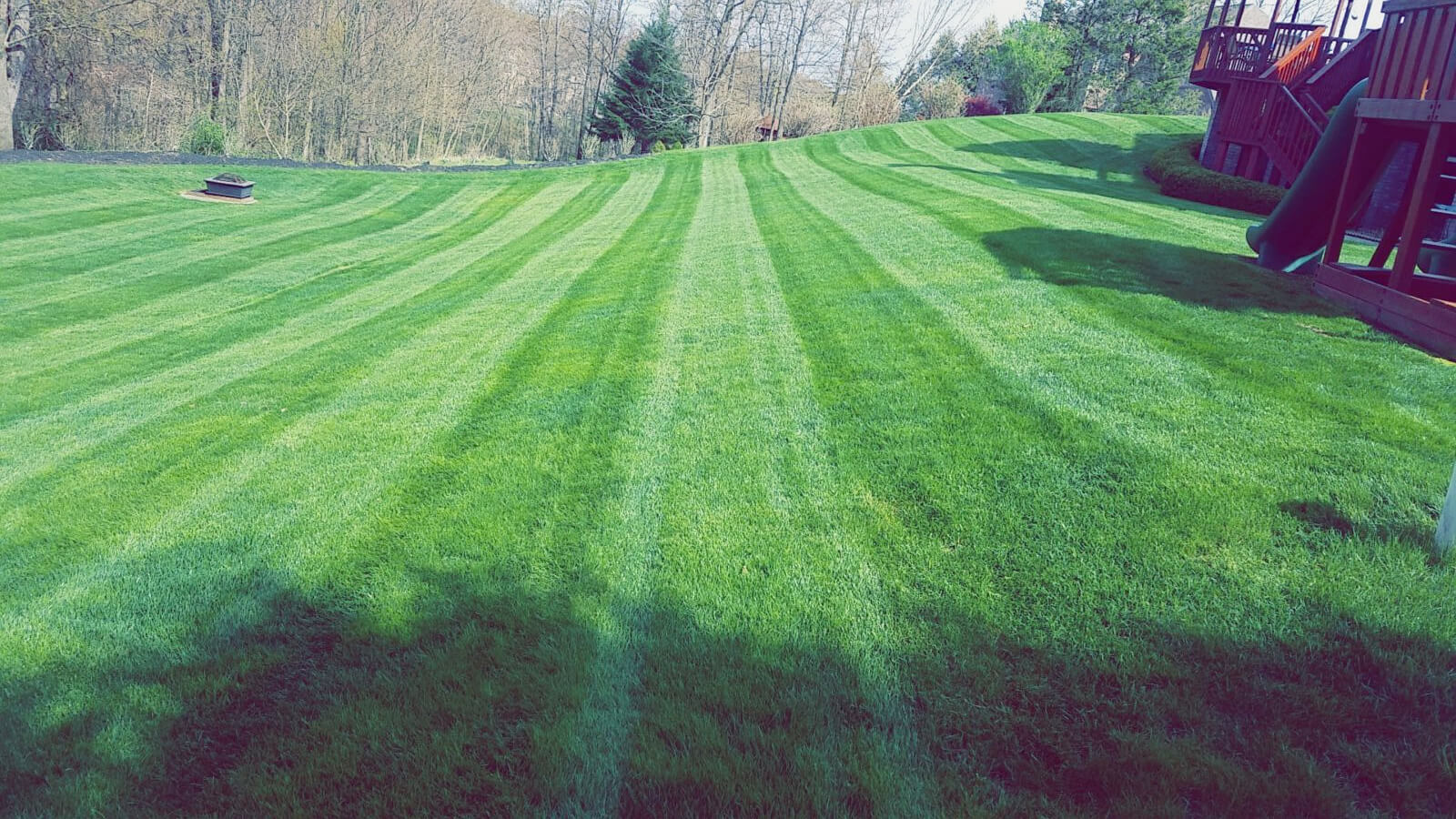 Grass Cutting And Lawn Maintenance Treesdale Landscape Company