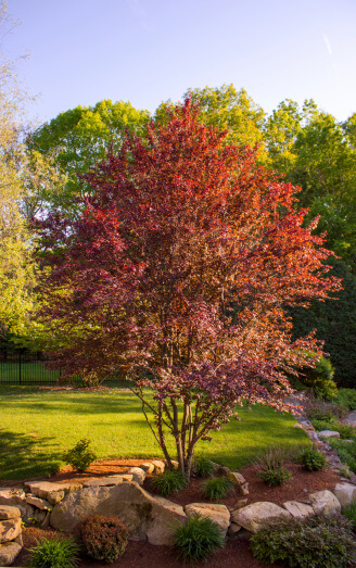 Pittsburgh Mulching Service