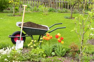 3 Landscape Supplies you need for Spring Lawn Care